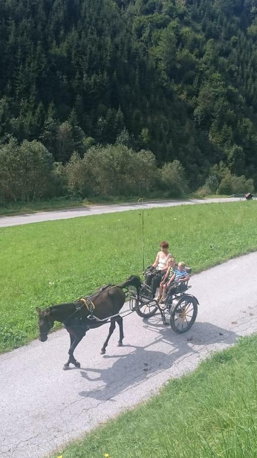 Ascherhof Auffach
